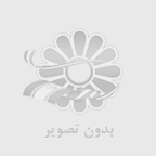 پارسا معاضدی 